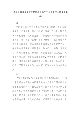 选派干部选调生学习贯彻二十届三中全会精神心得体会集锦