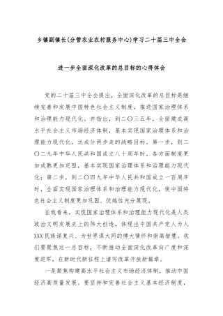 乡镇副镇长(分管农业农村服务中心)学习二十届三中全会进一步全面深化改革的总目标的心得体会