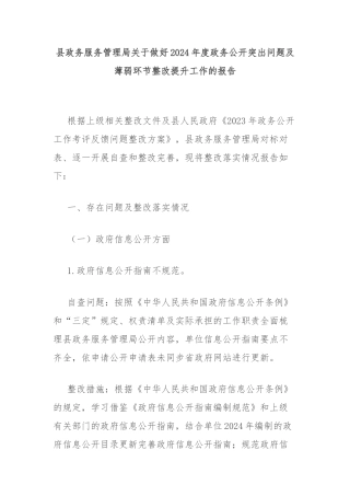 县政务服务管理局关于做好2024年度政务公开突出问题及薄弱环节整改提升工作的报告