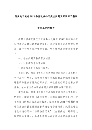 某局关于做好2024年度政务公开突出问题及薄弱环节整改提升工作的报告