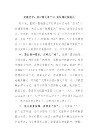 交流发言：强村富民看工坊 助农增收促振兴