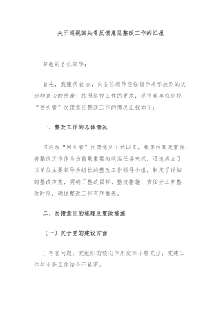 关于巡视回头看反馈意见整改工作的汇报