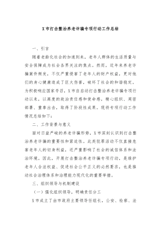 X市打击整治养老诈骗专项行动工作总结