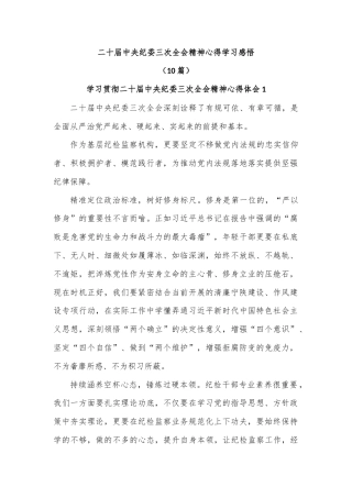 (10篇)二十届中央纪委三次全会精神心得学习感悟