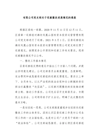 有限公司党支部关于巡察整改进展情况的通报