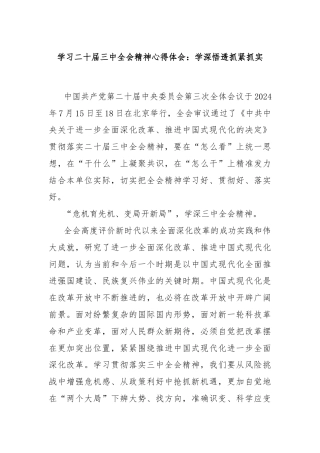 学习二十届三中全会精神心得体会：学深悟透抓紧抓实
