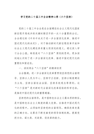 学习党的二十届三中全会精神心得（六个坚持）