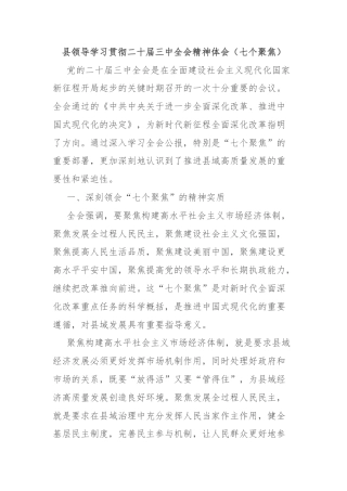 县领导学习贯彻二十届三中全会精神体会（七个聚焦）