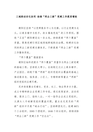 三域联动四化协同 助推“两企三新”党建工作提质增效