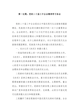 第一议题：党的二十届三中全会精神学习体会