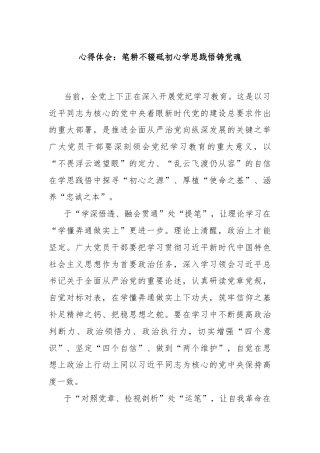 心得体会：笔耕不辍砥初心学思践悟铸党魂