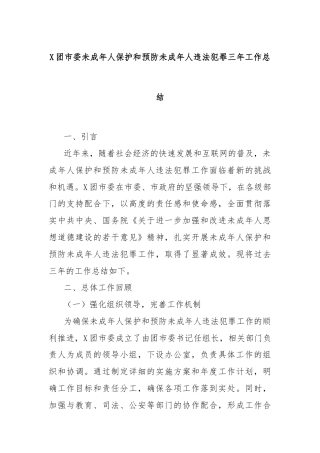 X团市委未成年人保护和预防未成年人违法犯罪三年工作总结