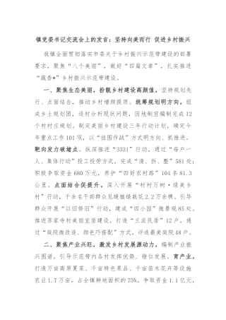 镇党委书记交流会上的发言：坚持向美而行 促进乡村振兴