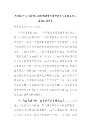 在2024年全市新型工业化推进暨专精特新企业培育工作会上的汇报发言