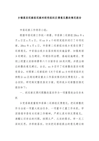 乡镇落实巡察组巡察村级党组织反馈意见整改情况报告