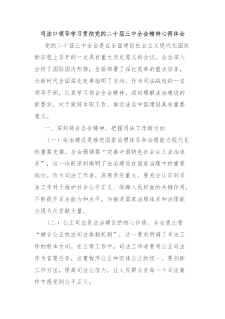 司法口领导学习贯彻党的二十届三中全会精神心得体会