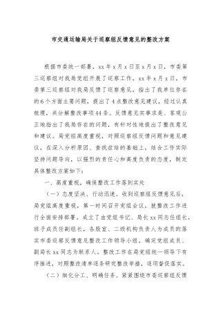 市交通运输局关于巡察组反馈意见的整改方案