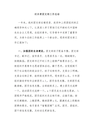 村共青团支部工作总结