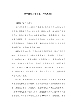 残联党组工作汇报（向巡察组）