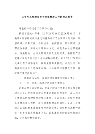 X市生态环境局关于巡察整改工作的情况报告