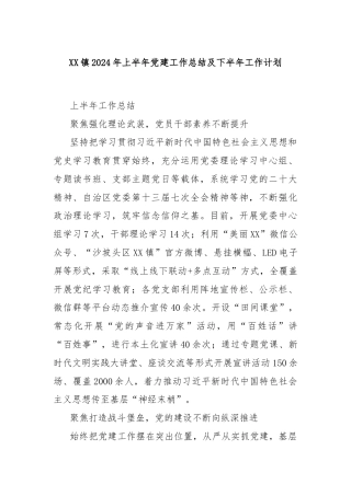 XX镇2024年上半年党建工作总结及下半年工作计划
