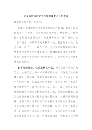 在全市防汛救灾工作视频调度会上的发言