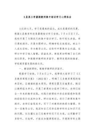 X县某小学暑期教师集中培训学习心得体会