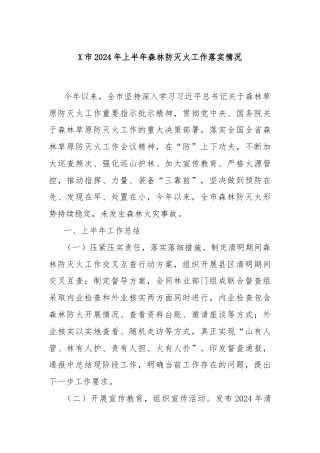 X市2024年上半年森林防灭火工作落实情况