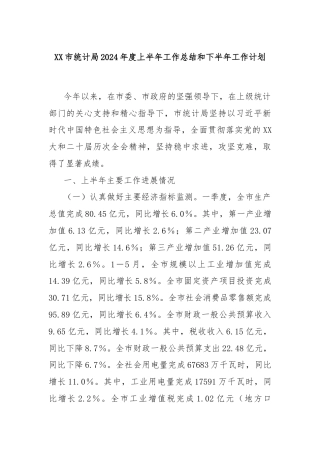 XX市统计局2024年度上半年工作总结和下半年工作计划