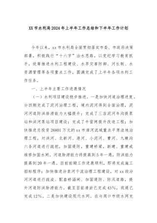 XX市水利局2024年上半年工作总结和下半年工作计划