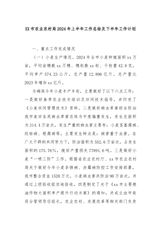 XX市农业农村局2024年上半年工作总结及下半年工作计划