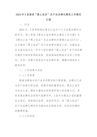 2024年X县推进“黑土优品”农产品品牌化建设工作情况汇报