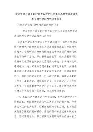 学习贯彻习近平新时代中国特色社会主义思想锻造政法铁军专题研讨班精神心得体会