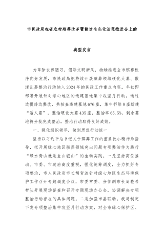 市民政局在省农村殡葬改革暨散坟生态化治理推进会上的典型发言