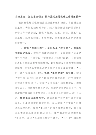 交流发言：抓实重点任务 聚力推动基层党建工作质效提升