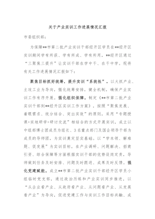 关于产业实训工作进展情况汇报