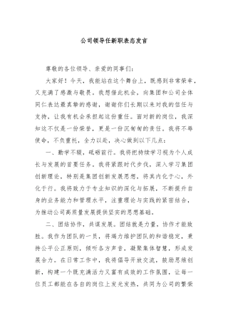 公司领导任新职表态发言