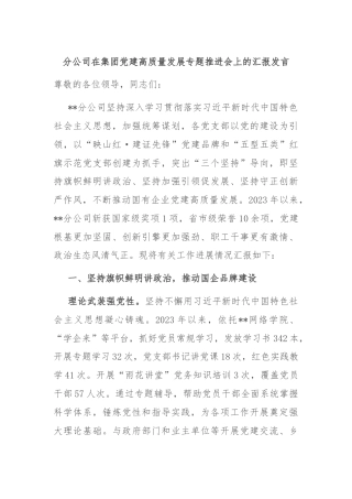 分公司在集团党建高质量发展专题推进会上的汇报发言