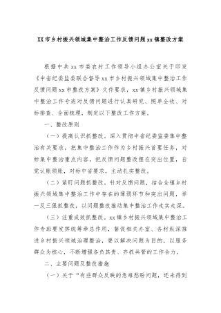XX市乡村振兴领域集中整治工作反馈问题xx镇整改方案