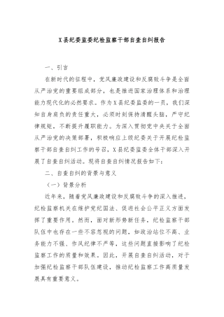 X县纪委监委纪检监察干部自查自纠报告
