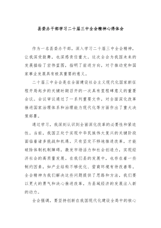 县委办干部学习二十届三中全会精神心得体会