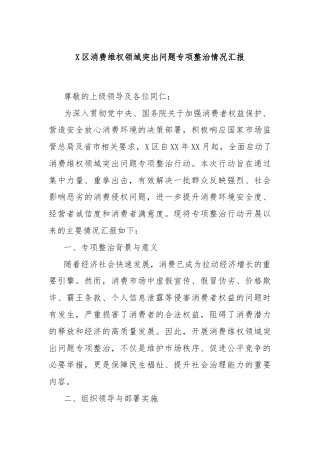 X区消费维权领域突出问题专项整治情况汇报