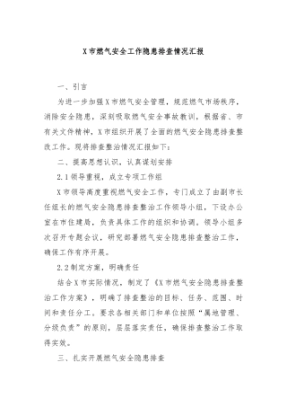 X市燃气安全工作隐患排查情况汇报