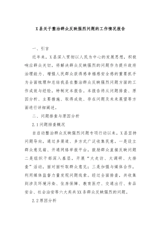 X县关于整治群众反映强烈问题的工作情况报告