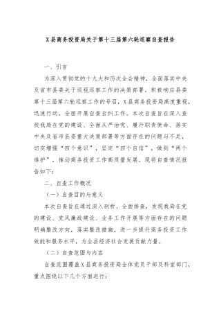 X县商务投资局关于第十三届第六轮巡察自查报告