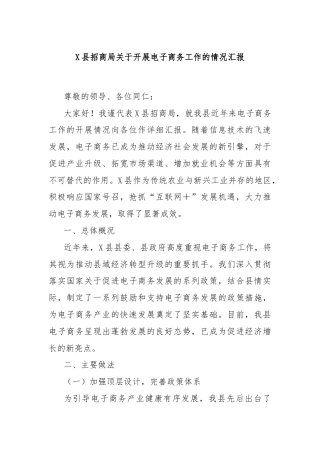 X县招商局关于开展电子商务工作的情况汇报