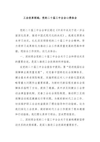 工会改革领域：党的二十届三中全会心得体会
