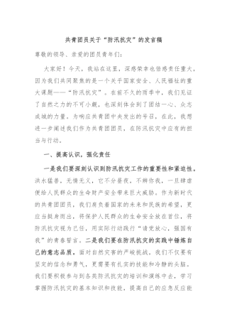 共青团员关于“防汛抗灾”的发言稿