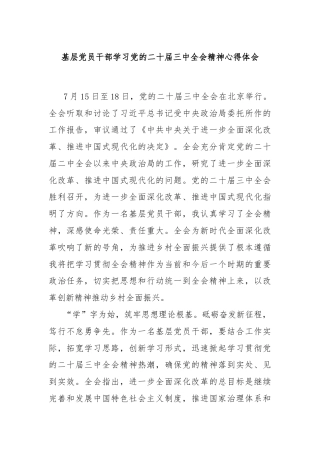 基层党员干部学习党的二十届三中全会精神心得体会