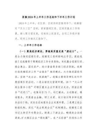 某镇2024年上半年工作总结和下半年工作计划